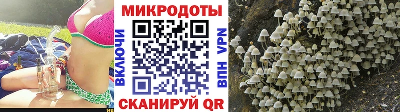 Псилоцибиновые грибы Psilocybe  Нея 